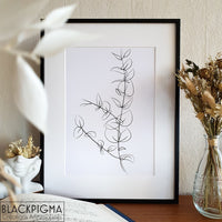 Illustration minimaliste en line art d'une branche d'eucalyptus en noir et blanc dans son cadre.